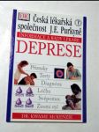 Deprese - náhled