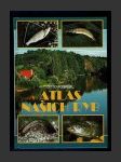 Atlas našich ryb - náhled