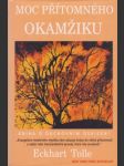 Moc přítomného okamžiku - náhled