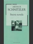 Snová novela - náhled
