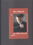 Max Kašparů: Do výšky volím pád - náhled