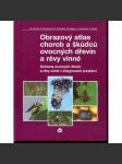 Obrazový atlas chorob a škůdců ovocných dřevin a révy vinné (vinná réva) - náhled
