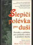 Slepičí polévka pro duši - náhled