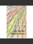 Paprsky slunce - náhled