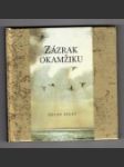 Zázrak okamžiku - náhled