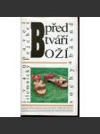 Před tváří Boží. Sochy a básně - náhled