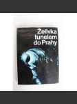Želivka tunelem do Prahy (Stavební inženýrství, tunely, architektura) - náhled
