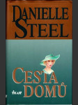 Cesta domů - náhled