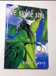 Ve světě snů - náhled