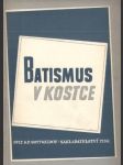 Batismus v kostce - náhled