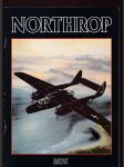 Northrop: P-61 Black Window - náhled