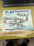 P-47 Thunderbolt in action - náhled