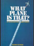 What plane is that? (veľký formát) - náhled
