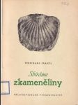 Sbíráme zkameněliny (malý formát) - náhled