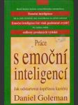 Práce s emoční inteligencí - náhled