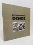 Ochoz 1990-1993 - náhled