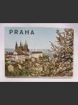 Praha - náhled