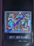 STRET SPIRITUALÍT - Kresťanstvo v konfrontácii s magickým hnutím - SARKA Róbert - náhled