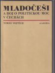 Mladočeši a boj o politickou moc v Čechách - náhled