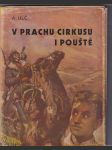 V prachu cirkusu i pouště (Příběh statečného chlapce) - náhled