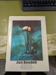Jan Saudek (Divadlo života) - náhled