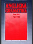 Anglická gramatika - náhled