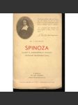 Spinoza - náhled