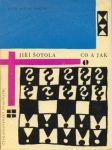 Co a jak - náhled