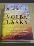 Volba lásky - náhled