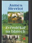 Zvěrolékař na blatech - náhled