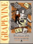 Grapevine Work Book 2B (veľký formát) - náhled