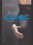 Božský cizinec - náhled