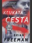 Kľukatá cesta - náhled