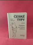 České typy aneb poptávka po našem hrdinovi - náhled