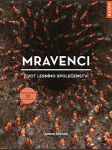 Mravenci - život lesního společenství - náhled