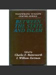 Between the State and Islam [Woodrow Wilson Center Series] [islám, stát a náboženství, politologie, muslimské země] - náhled