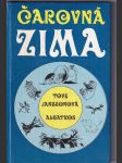 Čarovná zima - náhled