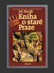 Kniha o staré Praze - náhled