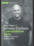 V pavučinách času - náhled