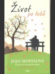 Život po tobě - náhled