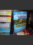 Toulavá kamera 11 - náhled