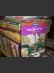 Orchideje - náhled