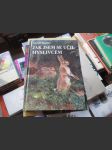 Jak jsem se učil myslivcem - náhled
