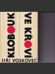 Klobouk ve křoví - náhled