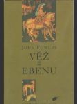 Věž z ebenu - náhled
