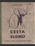 Cesta slonů - náhled