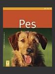 Pes - náhled