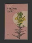 Klíč k určování rostlin - náhled
