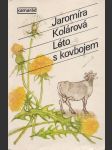 Léto s kovbojem - náhled