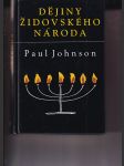 Dějiny židovského národa - náhled